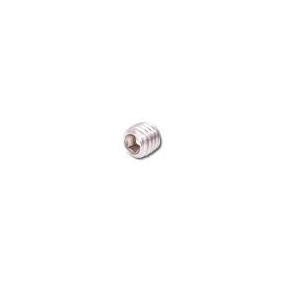 Vis BTR ST Inox 4X4