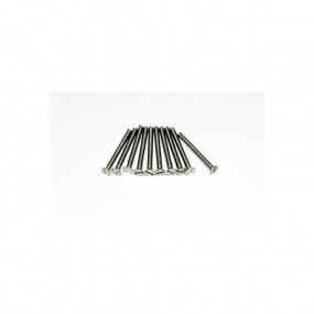 Vis BTR TF Inox 2x20mm