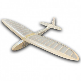 Planeur radiocommandé Mini...