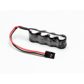 NiMH 1/3 AA Team Champion...