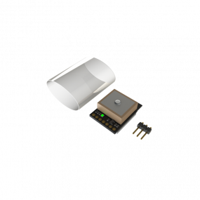 Balise de signalement -...