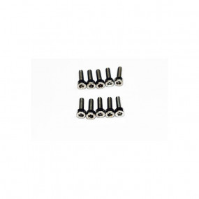 Vis BTR TC Inox 3 X 20mm 10...