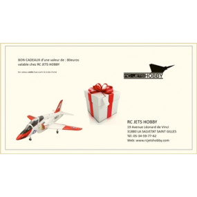 BON CADEAU RC JETS HOBBY 80...